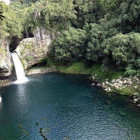 Le Beau Vallon 1- Jacuzzi Privatif Et Piscine Chauffee Partagee Saint-Benoît Eksteriør billede