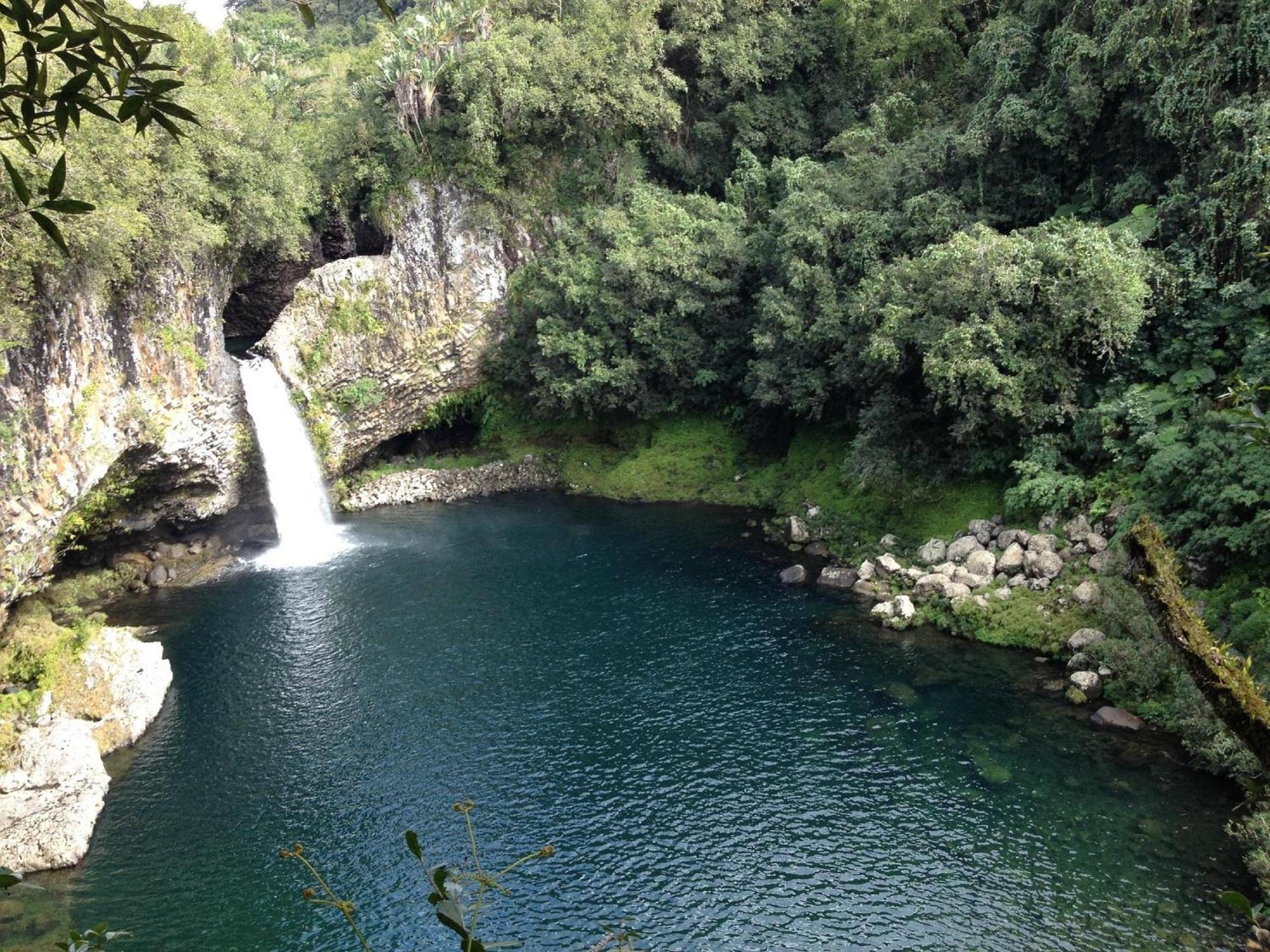Le Beau Vallon 1- Jacuzzi Privatif Et Piscine Chauffee Partagee Saint-Benoît Eksteriør billede